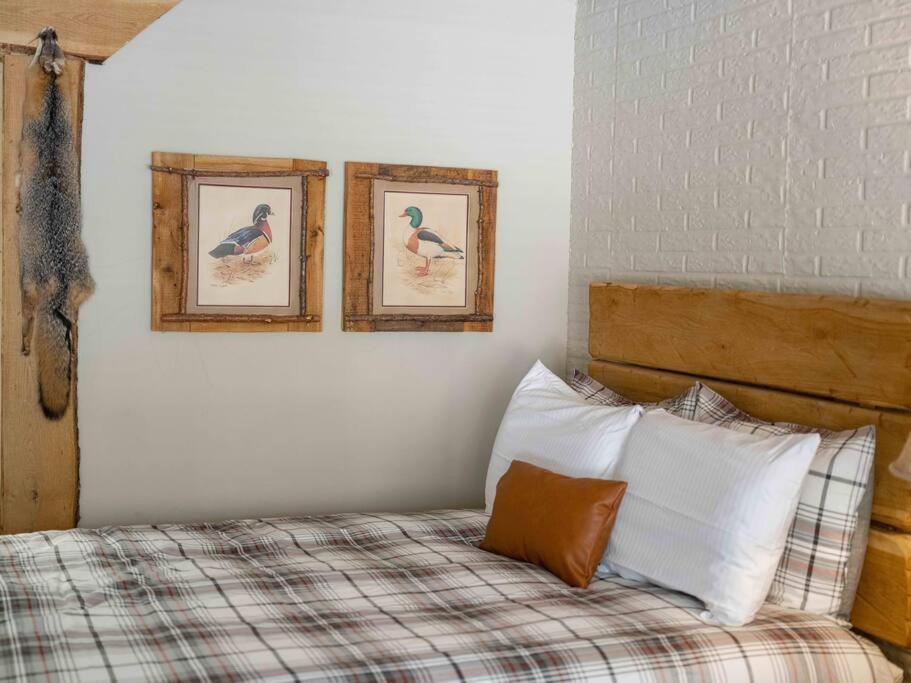 Stonegate Lodge 2 Queen Beds Fast Wifi 50In Tv Salt Water Pool Room # 305 Eureka Springs Exterior photo